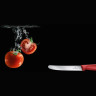 Складной серрейторный нож VICTORINOX 6.7831 Swiss Classic